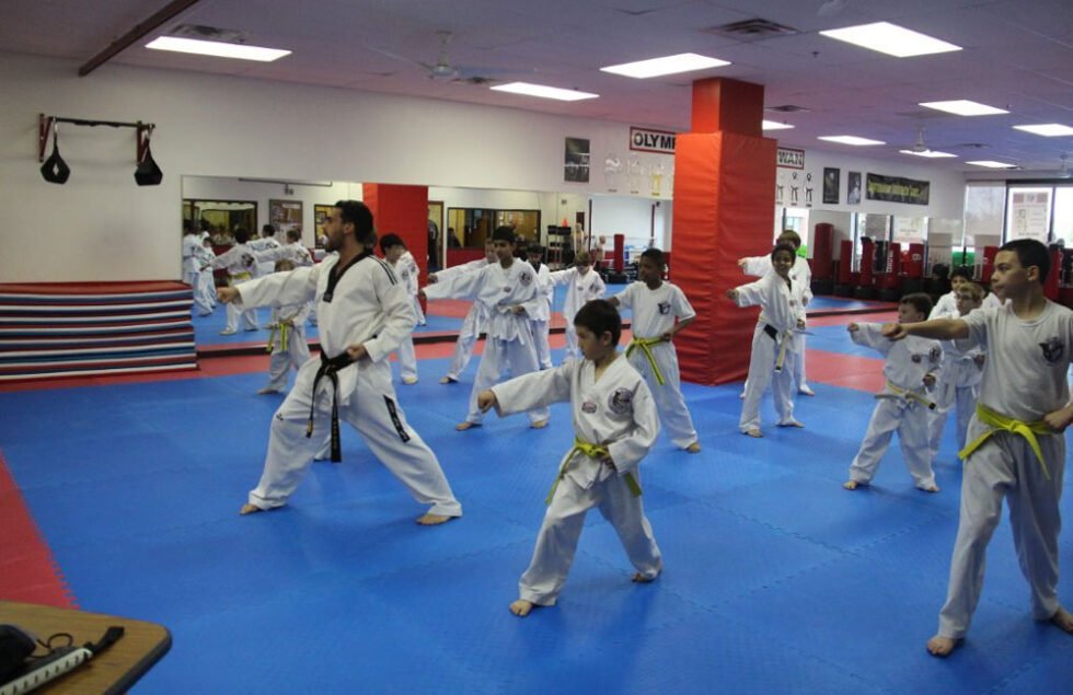 Olympia Taekwondo | Canton / Commerce Township Martial Arts